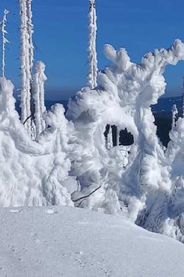 Schneeskulptur Plöckenstein